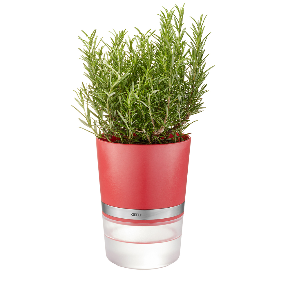 Maceta roja para especias, de 11 cm