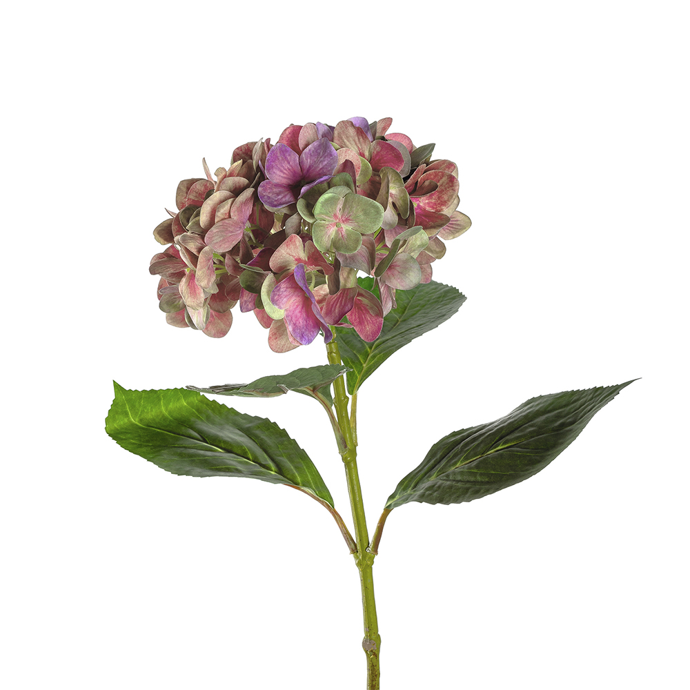 hortensia poesía 65 cm, Leonardo