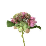 hortensia poesía 33 cm, Leonardo