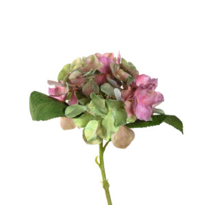 hortensia poesía 33 cm, Leonardo