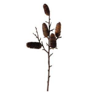 ramita con conos pinas 77 cm marron, Leonardo