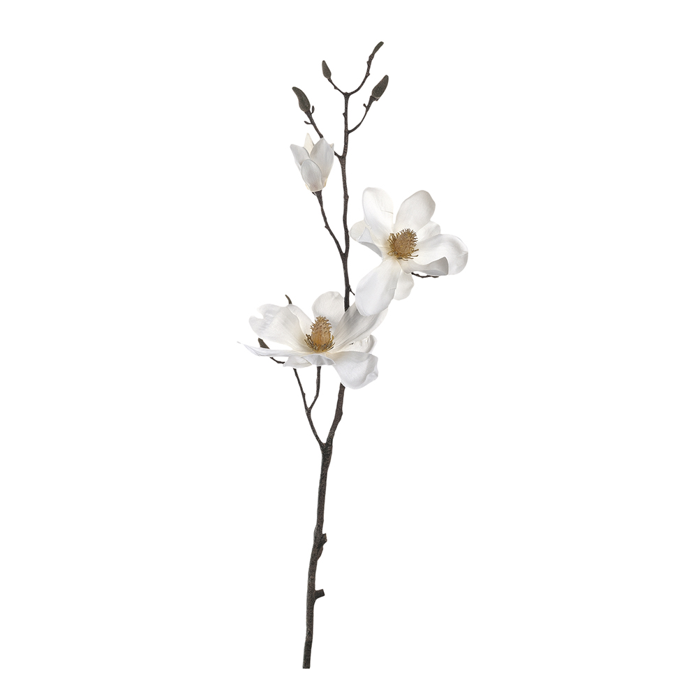 rama de magnolia 80 cm fiore, Leonardo