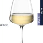 Juego de 12 copas para vino blanco, vino tinto y champagne, ”PALADINO”, Leonardo