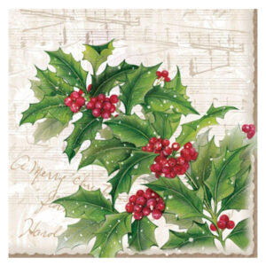 juego de servilletas lunch 33 x33 20 pzas spring of holly