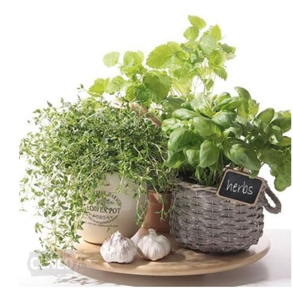 juego de servilletas sabor hierbas 33×33 cm