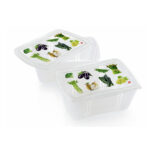 juego de 2 contenedores para vegetales decor vegetales 2 l 23x16x10 cm snips