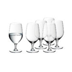Juego de 6 copas para agua 255 ml h16 cm ”easy plus” wmf