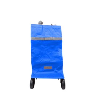 Bolsa - carrito plegable - frente bicolor azul