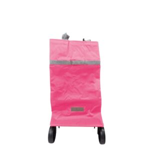 Bolsa - carrito plegable - frente bicolor rosa
