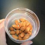 Picadora multiusos blanco 24 cm