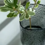 Florero h 29 cm Martelo gris