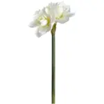 Flor h 58 cm Amaryllis blanca