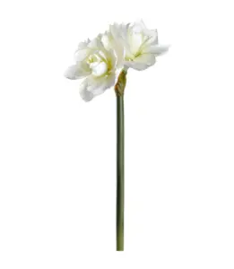 Flor h 58 cm Amaryllis blanca