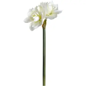 Flor h 58 cm Amaryllis blanca