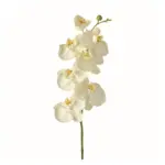 Rama de orquídea Basic 85 cm crema