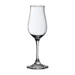 Copa Calvados Bouquet 180 ml (19 cm)