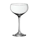 Copa baja para champagne Bouquet 240 ml (18.4 cm)