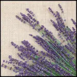 Servilletas 33×33 cm Manojo de Lavanda 20 piezas