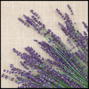 Servilletas 33×33 cm Manojo de Lavanda 20 piezas