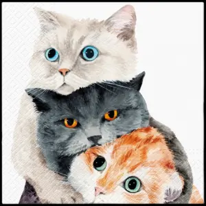Servilletas 33×33 cm Better Together 20 piezas